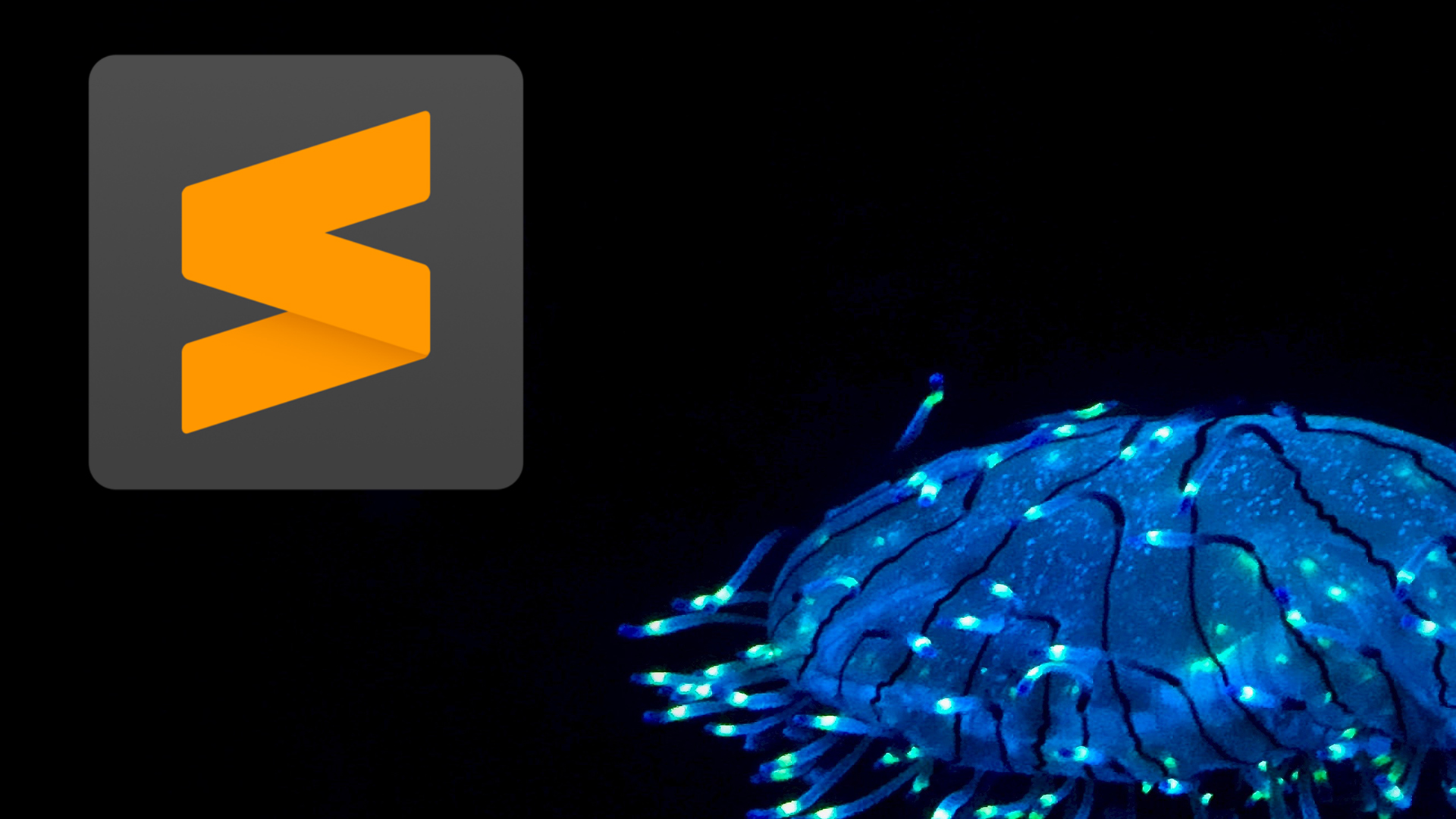 Izrada sajta - Sublime Text - IBP Studio