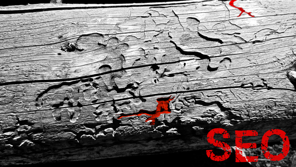 Osnovi SEO Optimizacije