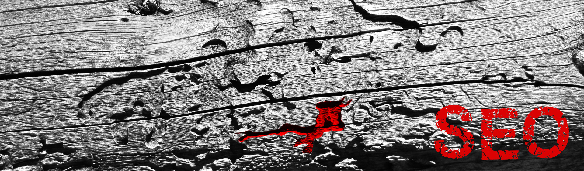 Osnovi SEO Optimizacije